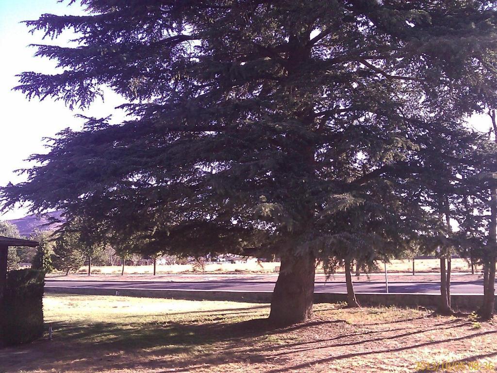 Ranch Motel Tehachapi Dış mekan fotoğraf